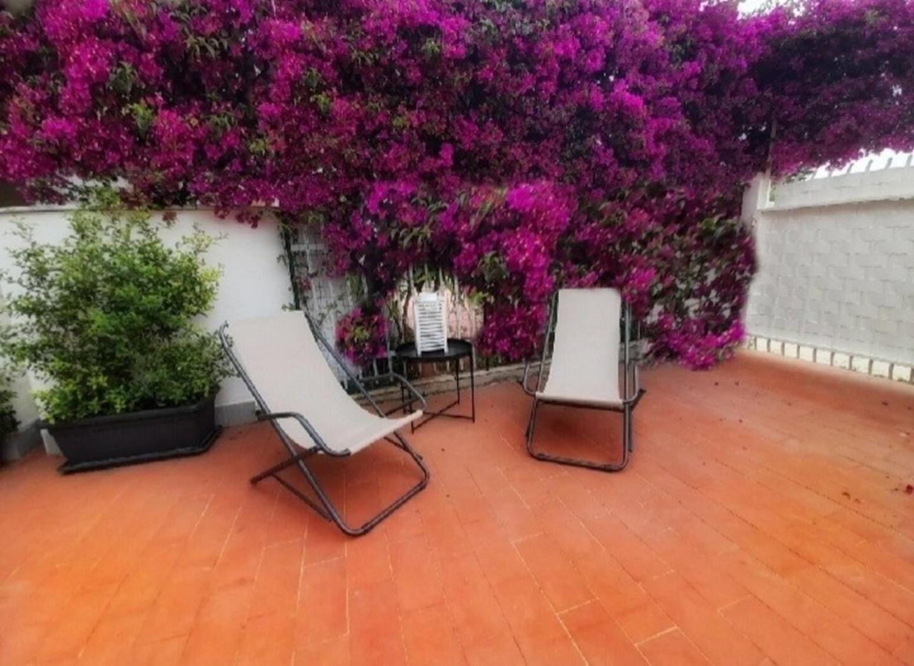 Villa Coral Mondello Palermo Eksteriør billede